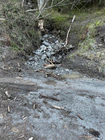 Groupement Forestier Leysin-Les Ormonts