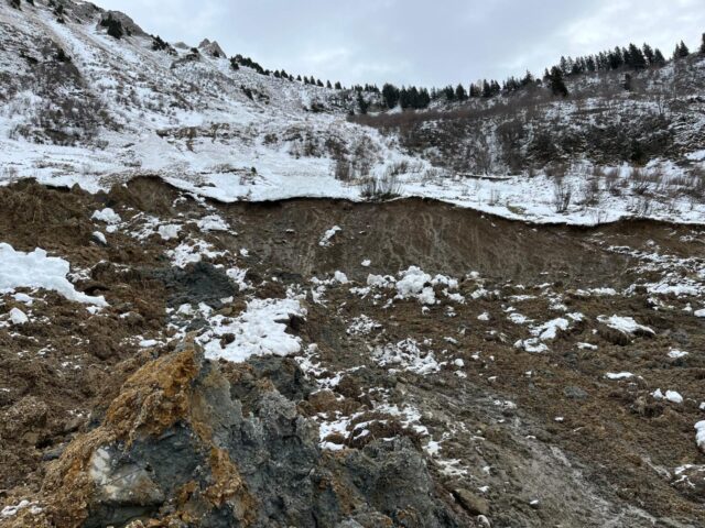 Groupement Forestier Leysin-Les Ormonts