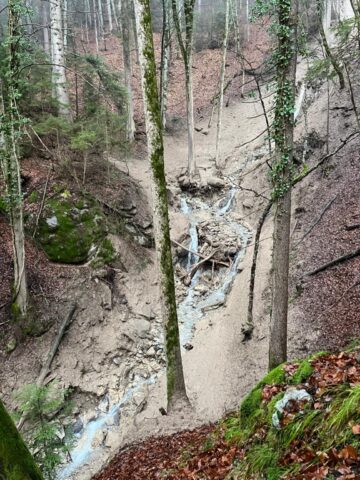 Groupement Forestier Leysin-Les Ormonts