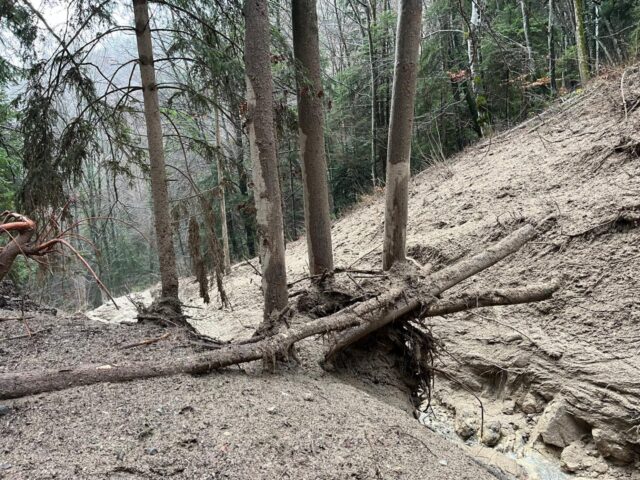 Groupement Forestier Leysin-Les Ormonts