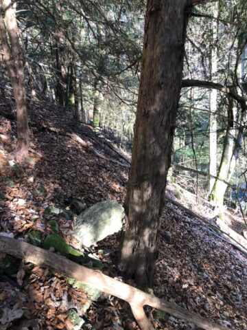 Groupement Forestier Leysin-Les Ormonts